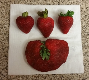 My unique strawberry!  